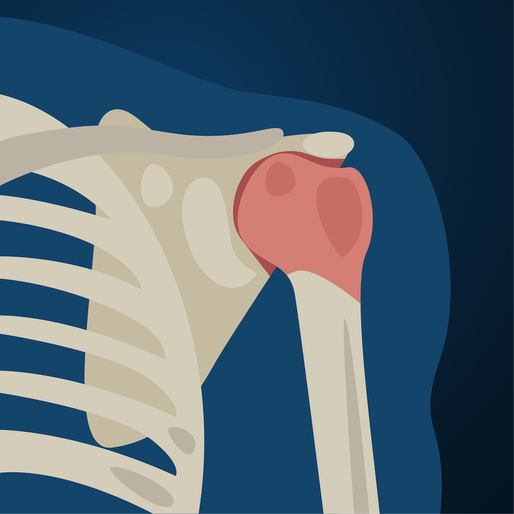 Shoulder Injuries